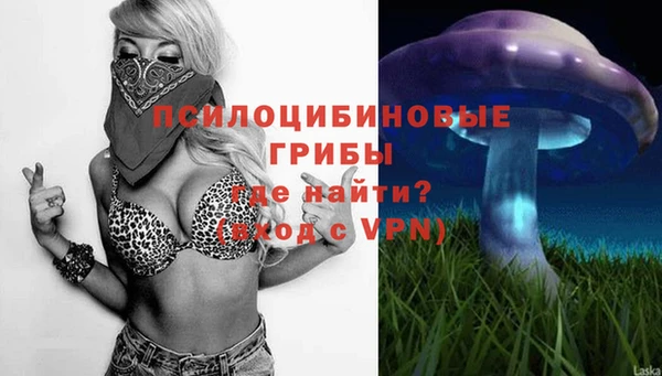 молекула духа Аркадак