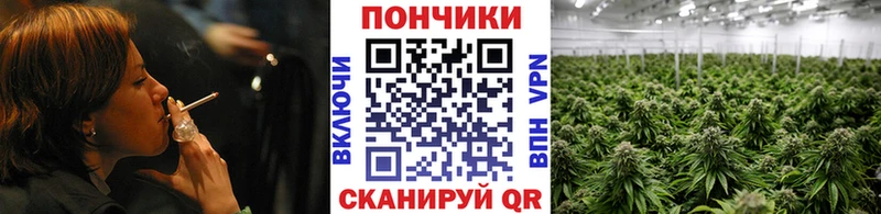 Бошки Шишки OG Kush  Рыбное 
